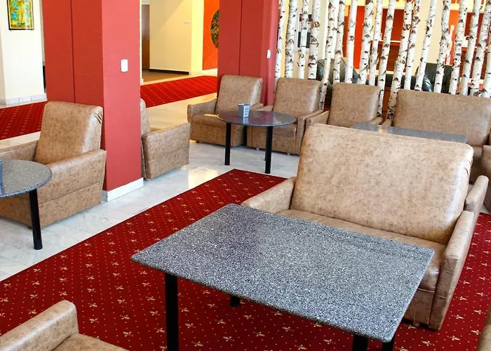 Hotel Montana - Covasna