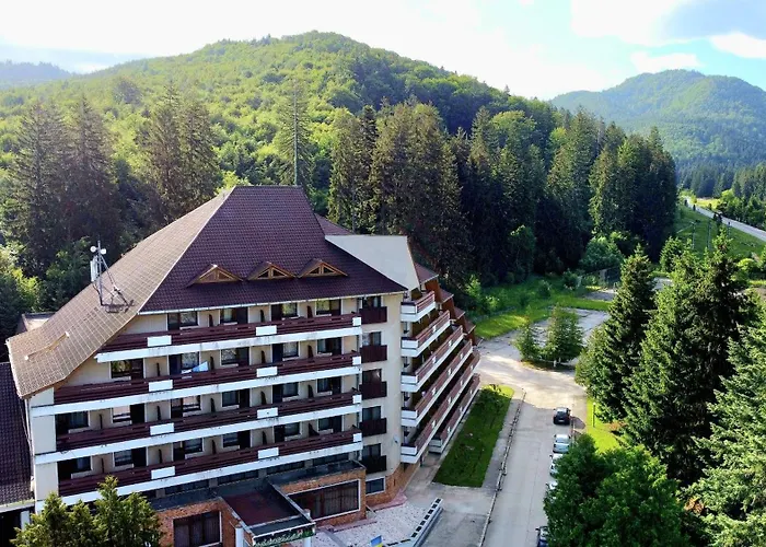 Hotel Bradul - Covasna
